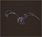 Black Wing Bat