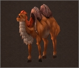 Cursed Camel