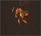 Fallen Wasp