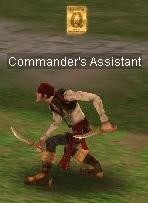 Commander's Assistant