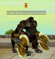 Pirate Sentry Guard Punisher