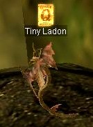 Tiny Ladon